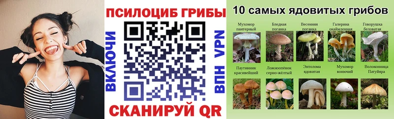 нарко площадка клад  Вичуга  Галлюциногенные грибы Psilocybe 