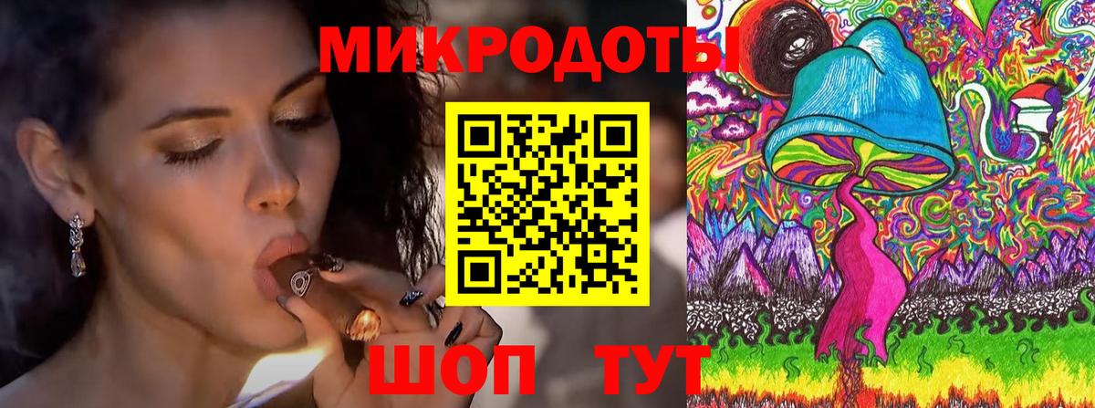 Псилоцибиновые грибы MAGIC MUSHROOMS Вичуга