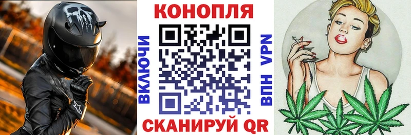 Канабис ГИДРОПОН  mega зеркало  Вичуга  продажа наркотиков 